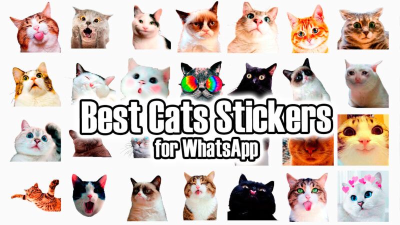 28 Rekomendasi Aplikasi Stiker WA Terbaik dan Gratis!