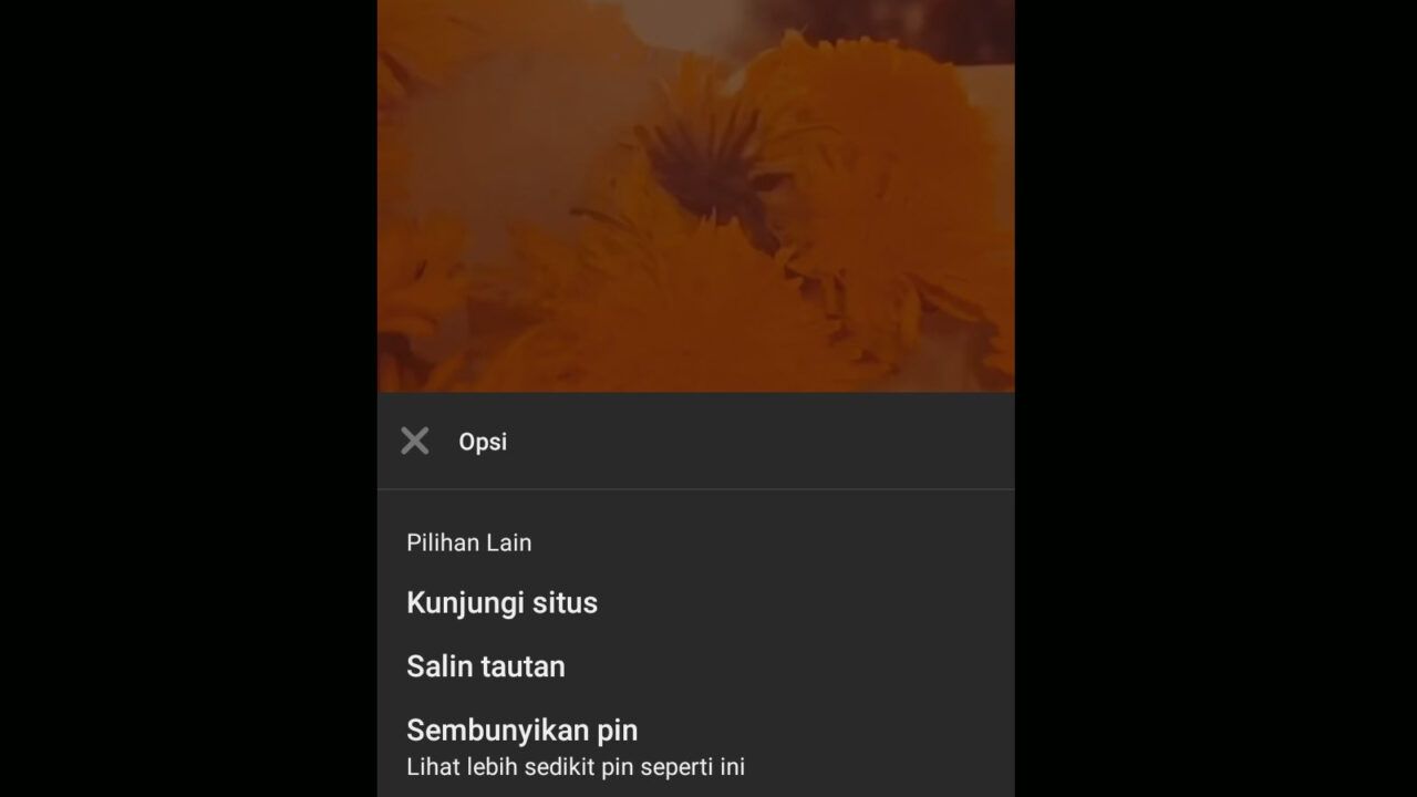 3 Cara Download Video di Pinterest Melalui Smartphone Android