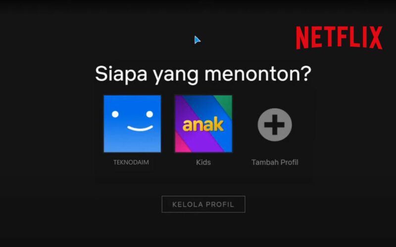Cara Bayar Netflix Dengan Aplikasi DANA dan Gopay