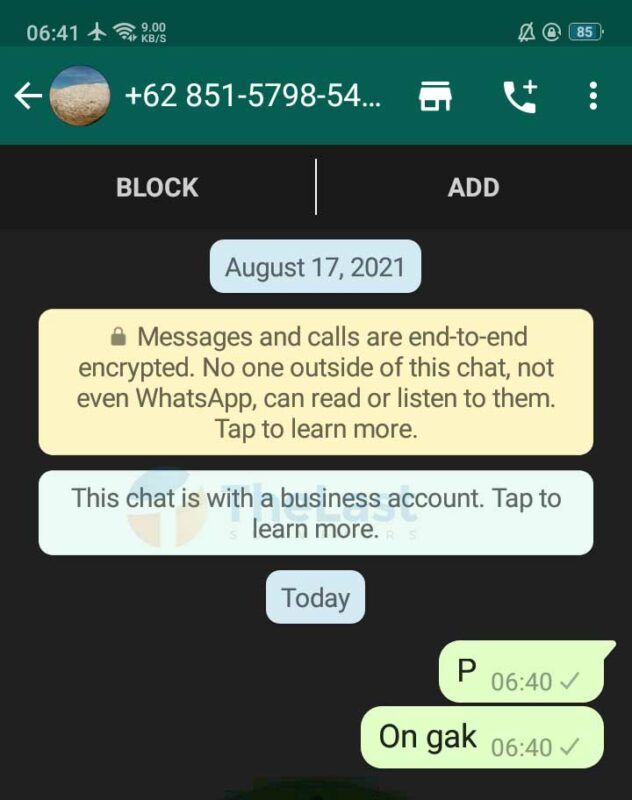 Inilah Arti Ping, VC, PC dan PM di Chat WhatsApp yang Harus Kamu Tahu!