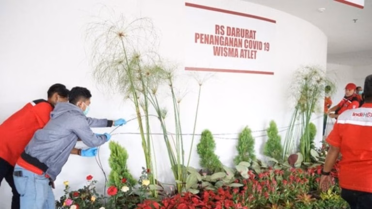 Internet Di Rumah Sakit Darurat By Teknodaim
