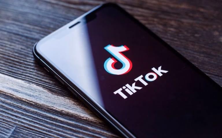 India Boikot Tiktok By Teknodaim