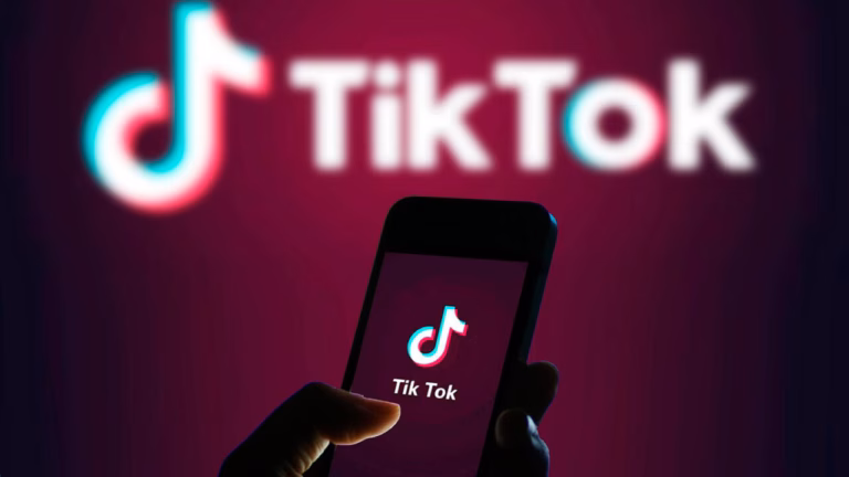 Begini Cara Menggunakan Tiktok Downloader Snaptik Yang Tepat!