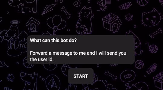 3 Cara Melihat ID Telegram Terbaru, Bisa Lihat Semua ID! 3 Tekan Start