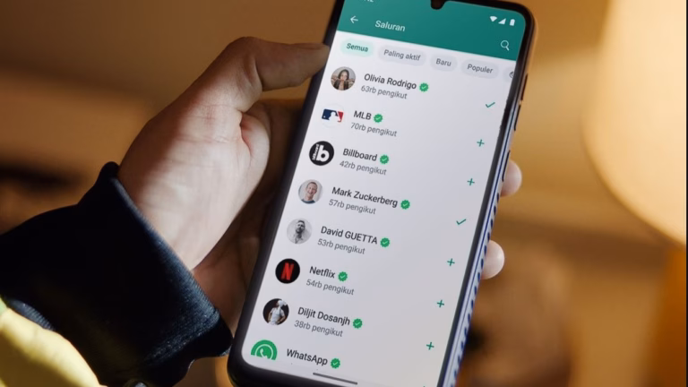 Apa Itu Fitur Saluran Whatsapp