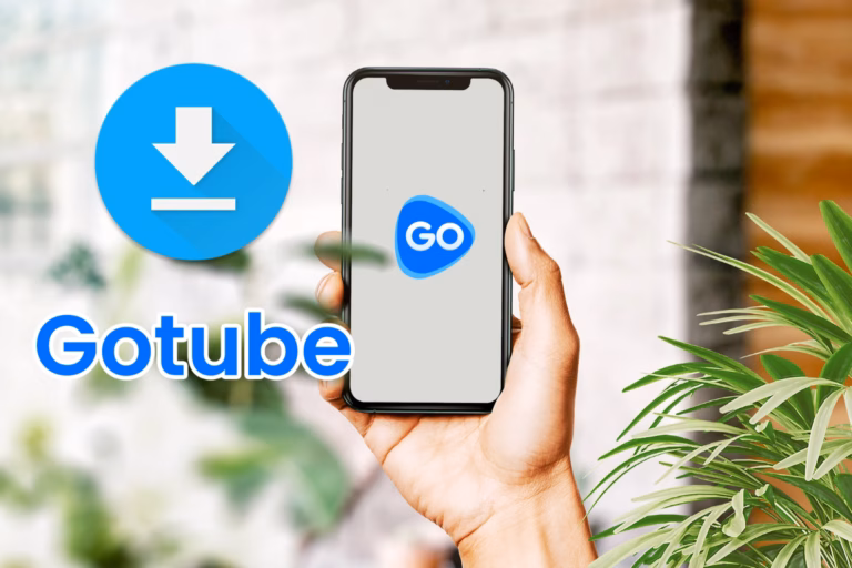 Ilustrasi Aplikasi GoTube (biartau.id)