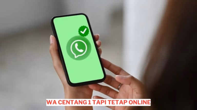 Wa Centang 1 Tapi Tetap Online Ini Cara Buatnya